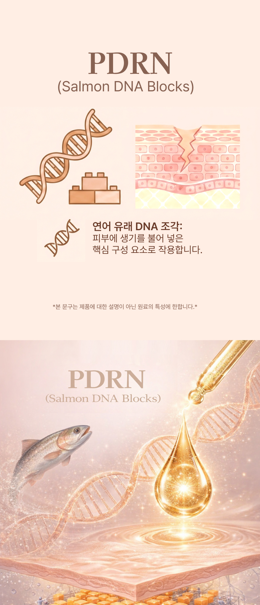 케이팟 매트릭실 PDRN 크림 50ml * 2개 상세 11